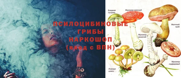 spice Елабуга