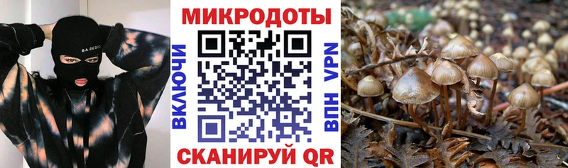 Псилоцибиновые грибы мухоморы Купить где Елабуга